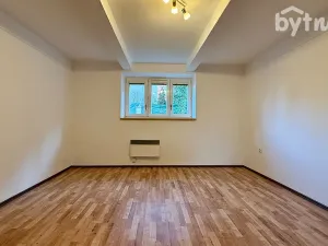 Pronájem bytu 1+1, Olomouc - Nová Ulice, Růženy Svobodové, 49 m2