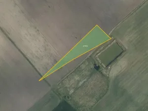 Prodej pole, Horušice, 20462 m2