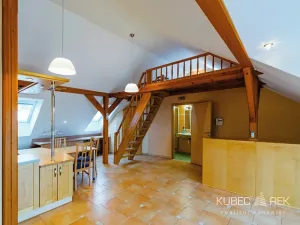Pronájem bytu 1+kk, Tábor, Třebízského, 60 m2
