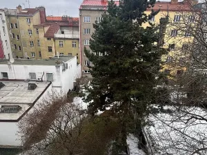 Pronájem bytu 2+kk, Praha - Strašnice, Věšínova, 43 m2