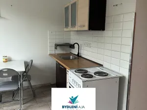 Pronájem bytu 1+1, Krupka, Karla Čapka, 35 m2