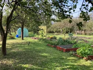 Prodej chalupy, Orlické Podhůří, 267 m2