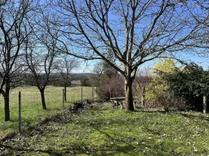 Prodej chalupy, Orlické Podhůří, 267 m2