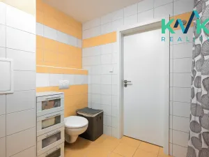 Prodej bytu 1+1, Karlovy Vary, Spálená, 46 m2