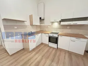 Pronájem bytu 1+1, Plzeň, Hřímalého, 36 m2