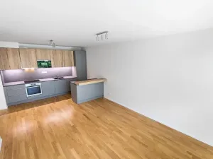 Prodej bytu 3+kk, Praha - Žižkov, U Viktorie, 70 m2