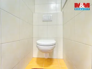 Pronájem bytu 2+1, Plzeň - Východní Předměstí, Francouzská třída, 55 m2