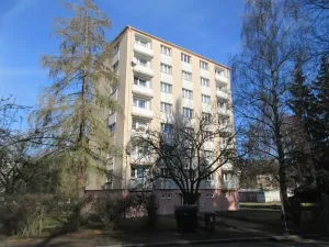 Prodej bytu 2+1, Písek, Dr. M. Horákové, 55 m2