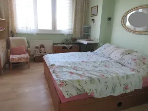 Prodej bytu 2+1, Písek, Dr. M. Horákové, 55 m2