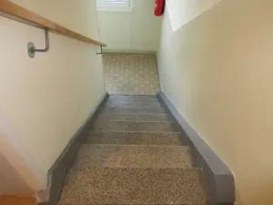 Prodej bytu 2+1, Písek, Dr. M. Horákové, 55 m2