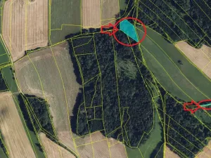 Prodej lesa, Ludmírov, 9585 m2