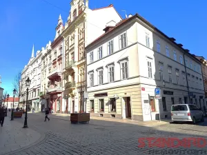 Pronájem obchodního prostoru, Plzeň, Bezručova, 53 m2