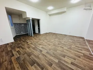 Pronájem obchodního prostoru, Brno, Ječná, 97 m2