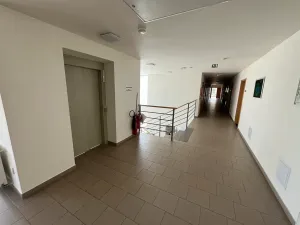 Pronájem bytu 2+kk, Velké Heraltice, Zahradní, 45 m2