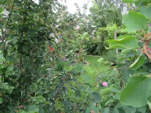 Dražba skladu, Jílové u Prahy, Pražská, 10 m2