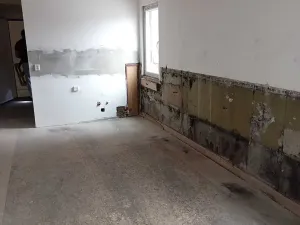 Dražba bytu 3+kk, Dolní Podluží, 67 m2