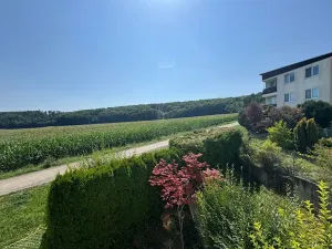 Pronájem bytu 1+kk, Brno, Keřová, 32 m2