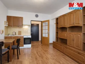 Pronájem bytu 1+kk, Strakonice - Strakonice I, Písecká, 18 m2