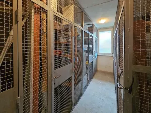 Prodej bytu 1+1, Vyškov, Puškinova, 33 m2