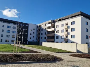 Pronájem bytu 1+kk, Olomouc, Loudova, 37 m2