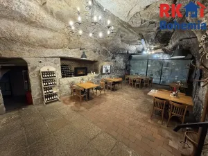 Pronájem restaurace, Mladá Boleslav, Ptácká, 410 m2
