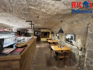 Pronájem restaurace, Mladá Boleslav, Ptácká, 410 m2