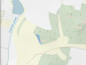 Prodej lesa, Čepřovice, 1644 m2