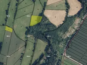 Prodej pole, Hoštice, 2207 m2