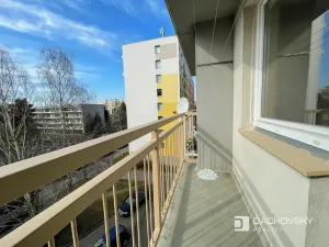 Prodej bytu 1+kk, Pardubice, Lidmily Malé, 30 m2