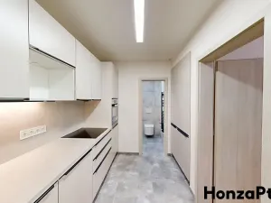 Pronájem bytu 2+kk, Praha - Holešovice, Schnirchova, 63 m2