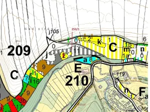 Dražba lesa, Nové Hrady, 7264 m2