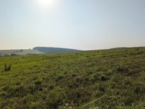 Prodej pozemku pro bydlení, Nové Lublice, 3046 m2
