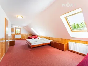 Pronájem ubytování, Horní Město, 250 m2