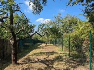 Prodej zahrady, Brno, 319 m2