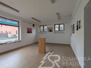 Prodej obchodního prostoru, Žihobce, 330 m2