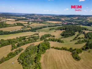 Prodej louky, Nišovice, 67803 m2