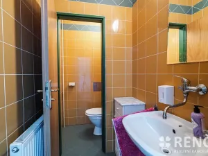 Prodej rodinného domu, Brno, Blatného, 265 m2