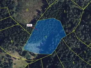 Dražba lesa, Vranová Lhota, 5978 m2