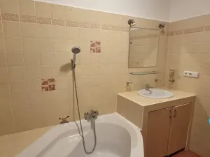 Pronájem bytu 3+1, Prostějov, Boženy Němcové, 79 m2