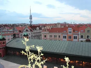 Pronájem bytu 3+1, Praha - Vinohrady, Budečská, 101 m2