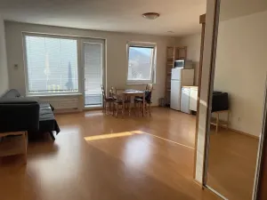 Pronájem bytu 1+kk, Brno, Podveská, 43 m2