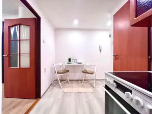 Prodej bytu 1+1, Praha - Žižkov, Biskupcova, 29 m2