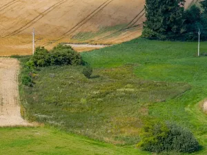 Prodej rybníku, Želetava, 5179 m2