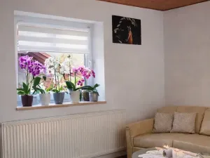 Prodej rodinného domu, Zruč-Senec, Na výsluní, 126 m2