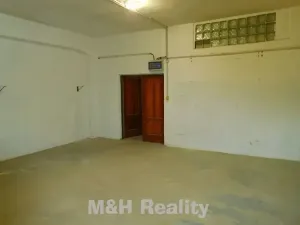 Pronájem skladu, Frýdlant nad Ostravicí, 120 m2