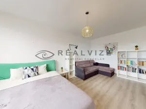 Prodej bytu 1+1, České Budějovice, K. Šafáře, 43 m2