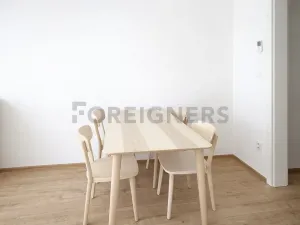 Pronájem bytu 1+kk, Brno, Spolková, 38 m2