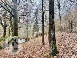 Prodej chaty, Děčín, Vítova, 24 m2