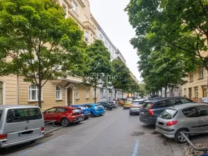 Pronájem bytu 4+kk, Praha - Vinohrady, Laubova, 273 m2