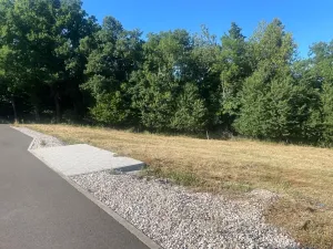 Prodej pozemku pro bydlení, Buš, 1284 m2